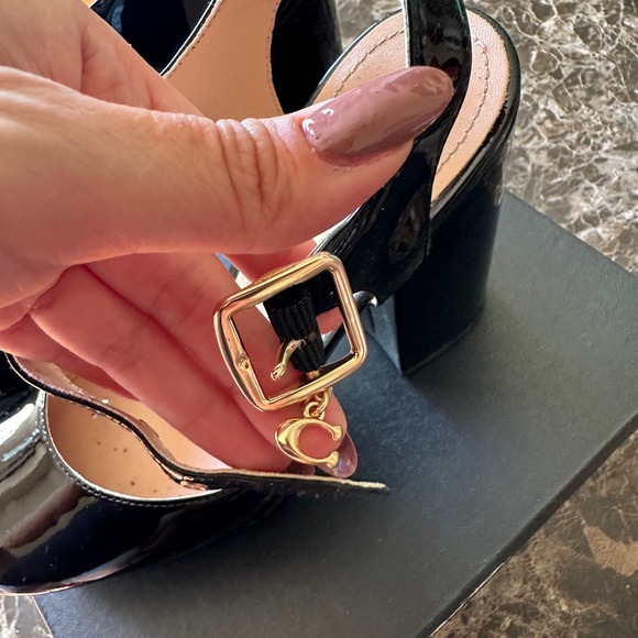 Coach Isabella Ankle-Strap Platform Block-Heel Pumps - Picture 10 of 16